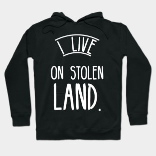 I live on stolen land Hoodie